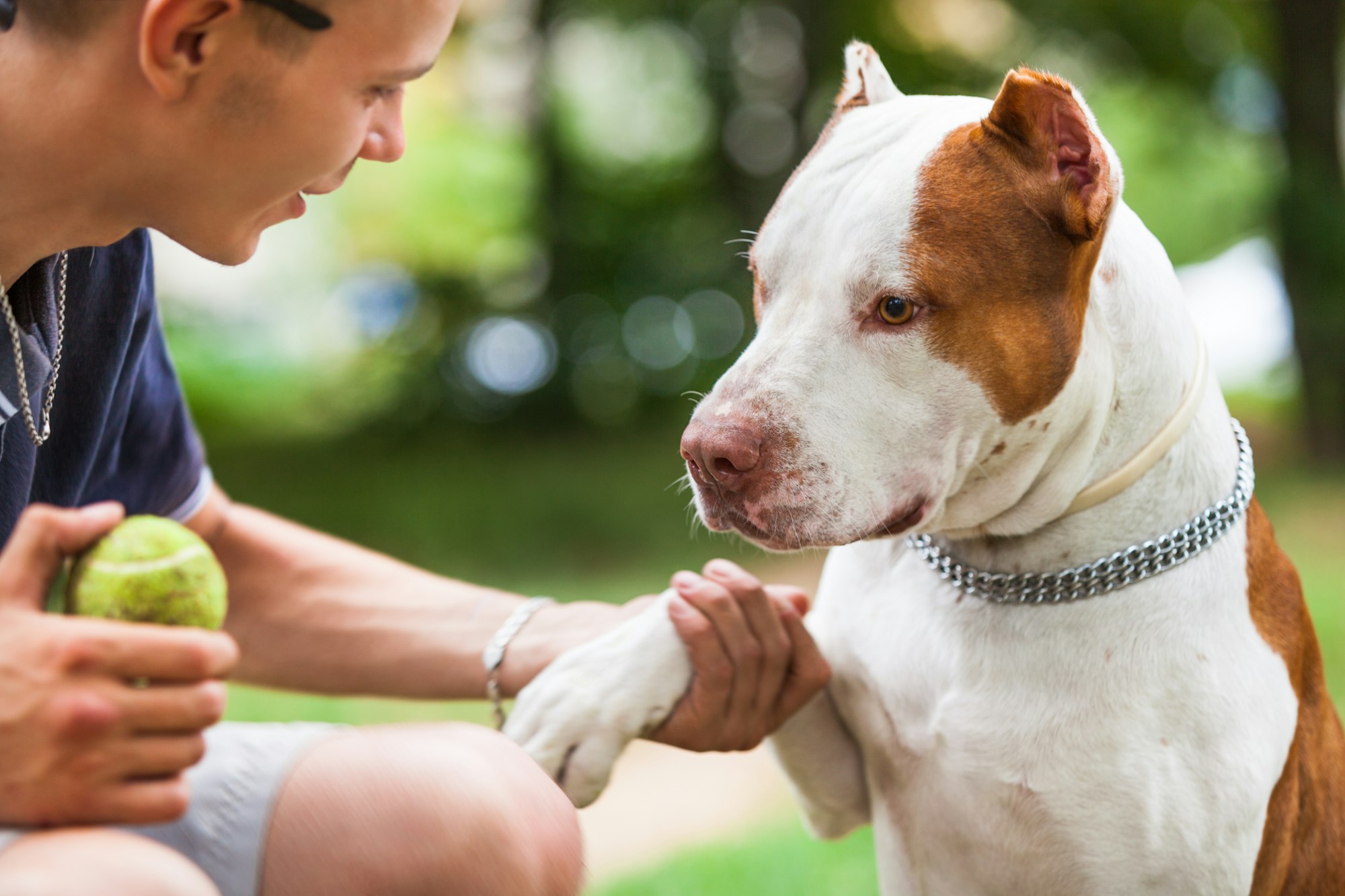 Handsome guy playing with dog outdoors