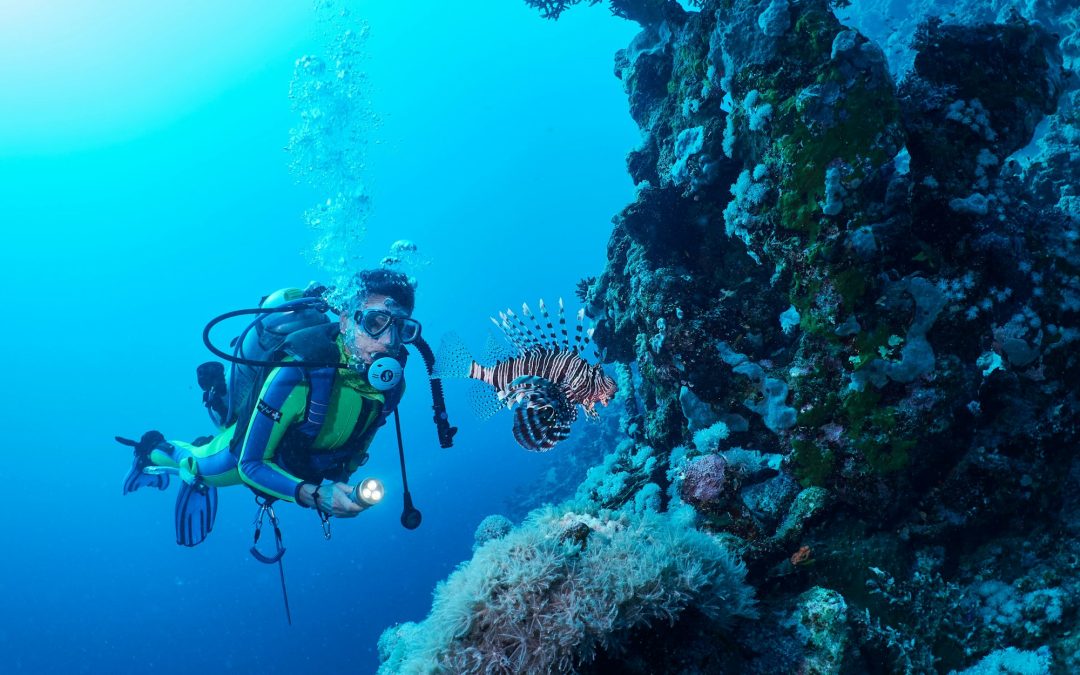 To Own or Not to Own: A Guide to Scuba Diving Equipment Choices